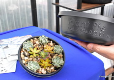 Another new product of T.O. Plastics is Plant pie. It only needs 3 inch of soul to create a scculent garden. This means less soil for the grower and the cosumer can put it, all together in a container.